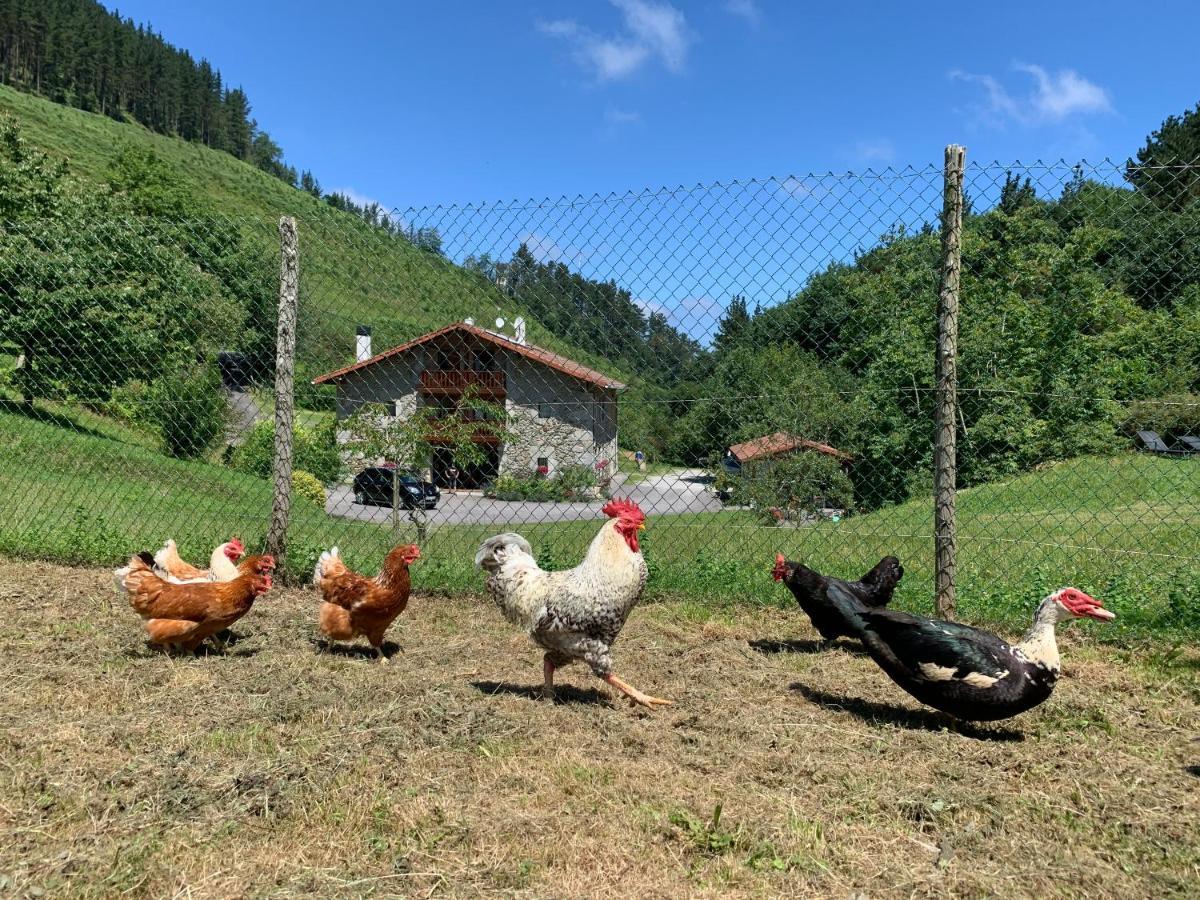 Agroturismo Urresti Gautegiz Arteaga Buitenkant foto