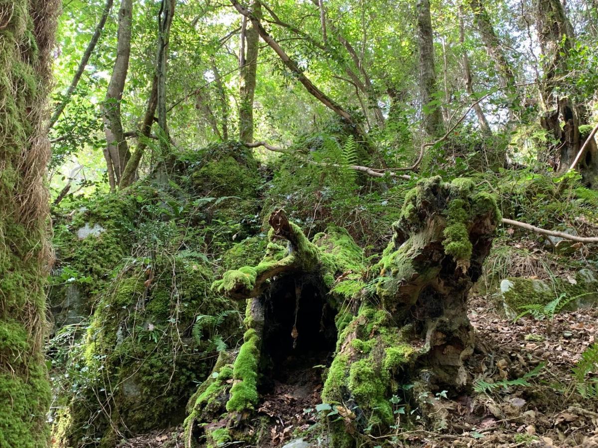 Agroturismo Urresti Gautegiz Arteaga Buitenkant foto