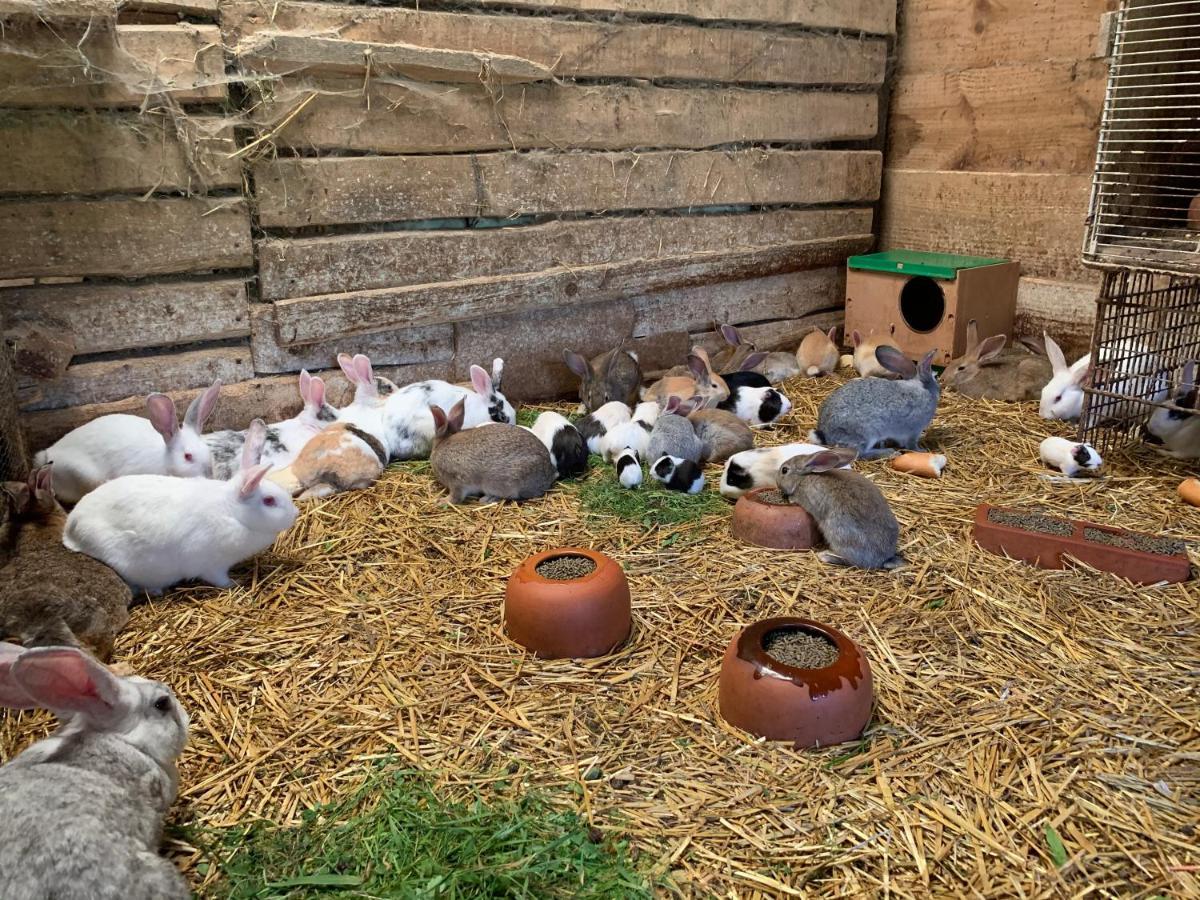 Agroturismo Urresti Gautegiz Arteaga Buitenkant foto
