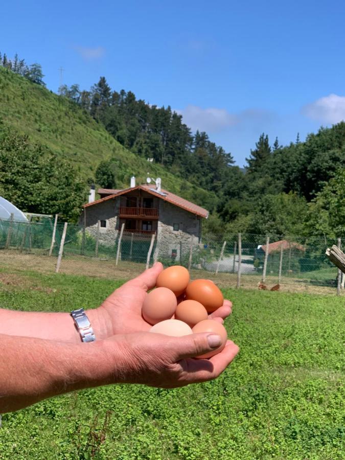 Agroturismo Urresti Gautegiz Arteaga Buitenkant foto