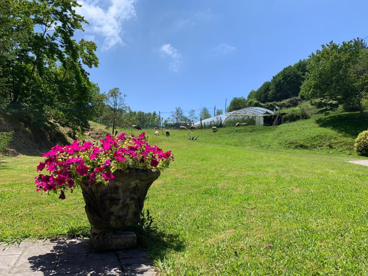 Agroturismo Urresti Gautegiz Arteaga Buitenkant foto