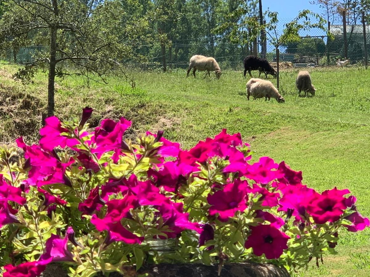 Agroturismo Urresti Gautegiz Arteaga Buitenkant foto
